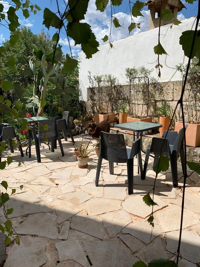 Casa Caimari Guest House, For Mountain Lovers! 0*,