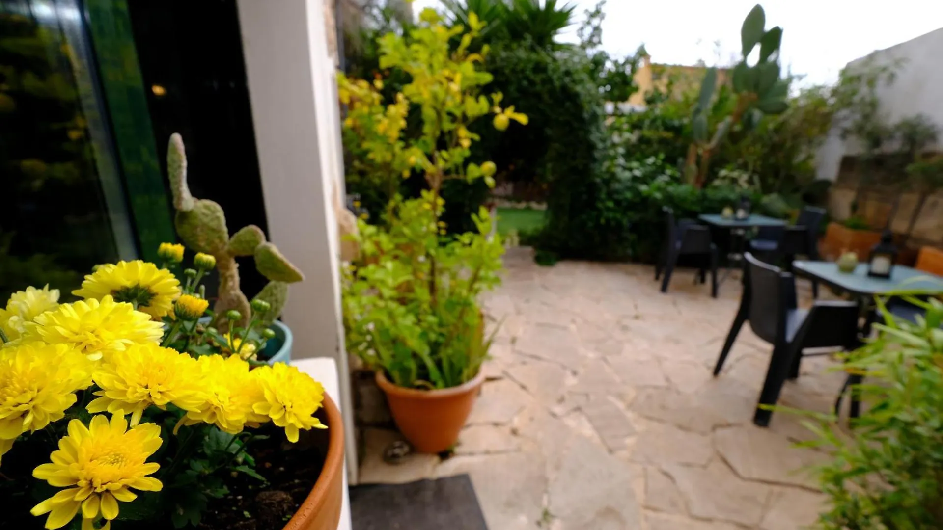 Bed & Breakfast Casa Caimari Guest House, For Mountain Lovers!